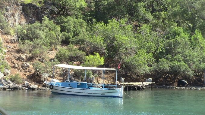 Fishing boats and goats