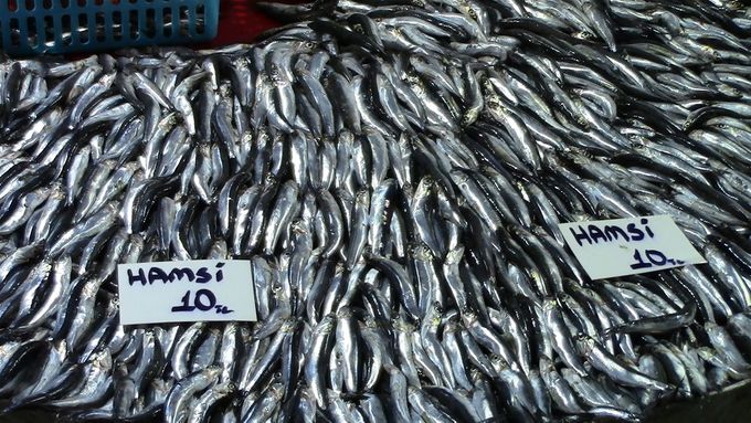 Fish market Selcuk. Hamsi, little fish like anchovies - delicious