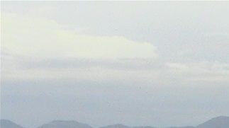 Fishing boats and cormorants Fethiye