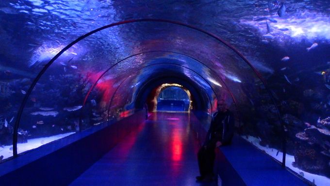 Antalya aquarium underwater tunnels