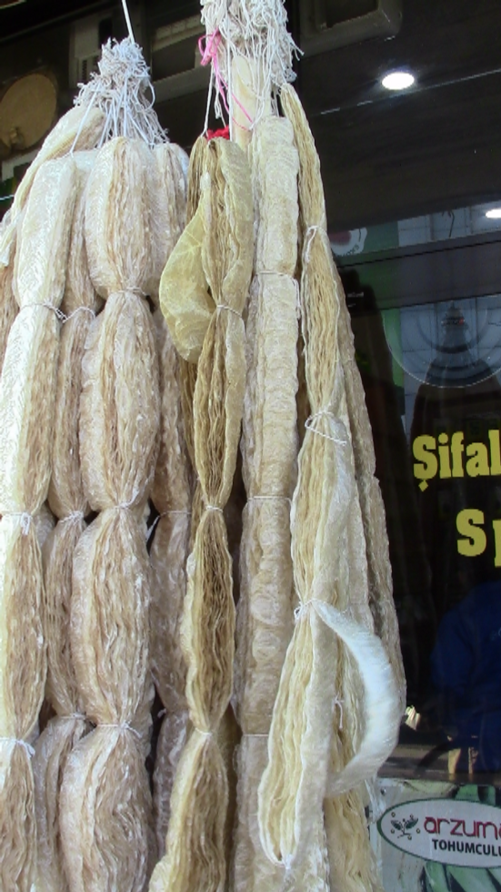 Dried intestines (sausage casing)