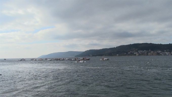 Little fishing boats catching blue fish.