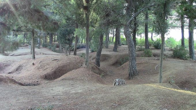 The trenches at Johnsons Jolly. There would have been no trees during the campaign.