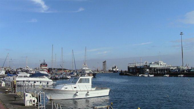 The harbour